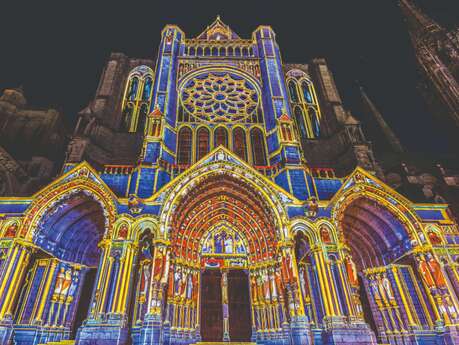 Visite guidée : Chartres en lumières - Fernanda Vieira guide