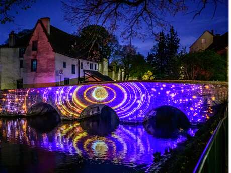 Visite guidée : Noël de la gourmandise aux lumières avec Fernanda Vieira.