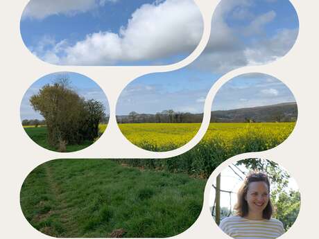 Balade guidée - À la découverte de la campagne percheronne