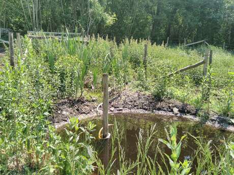 Sortie naturaliste : Natura 2000 : Des actions en faveur de la faune et de la flore