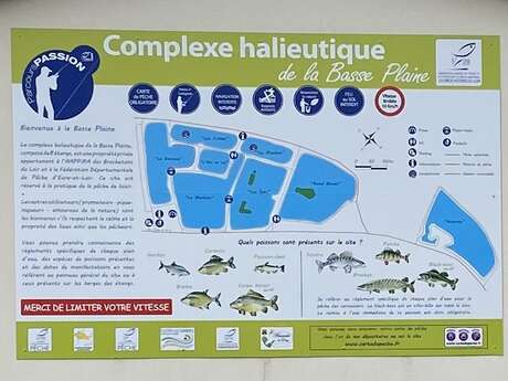 Plans d'eau de la Basse Plaine - Site de pêche labellisé - parcours passion