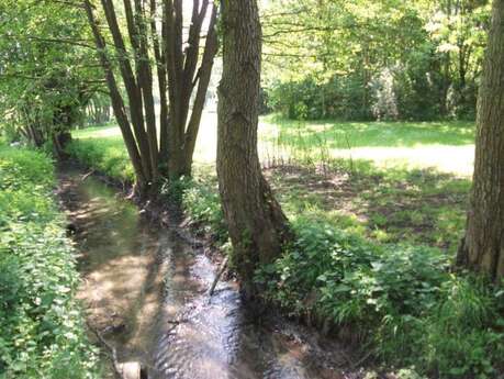 Pêche en rivière 1ère catégorie : La Berthe