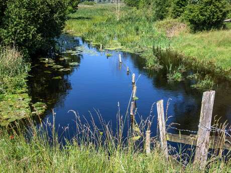 Sentier nature de Douy