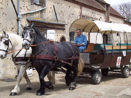 Les Ecuries des Landes Les Ecuries des Landes