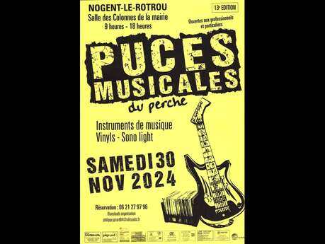 Puces musicales du Perche I 13ème édition