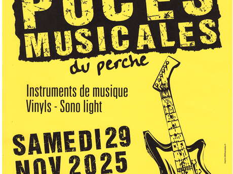 Puces musicales du Perche - 14e édition