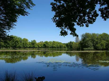 Pêche - Parc du château