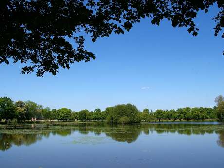 Pêche à la truite dans le parc du château