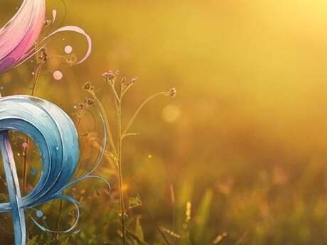 Sieste musicale : Au soleil