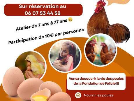 Ateliers soins des poules