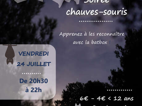 Soirée Chauves-souris