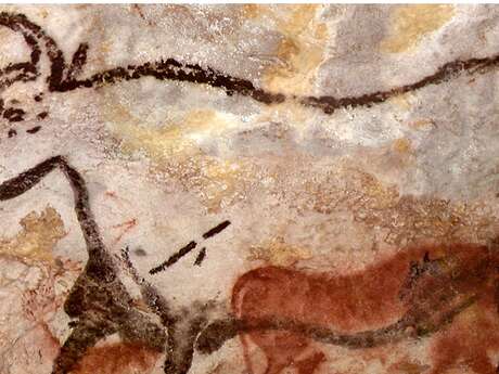 Ateliers archéologie 6/8 ans