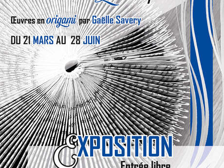 Métamorphose, l'art du pli