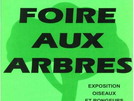 Foire aux arbres