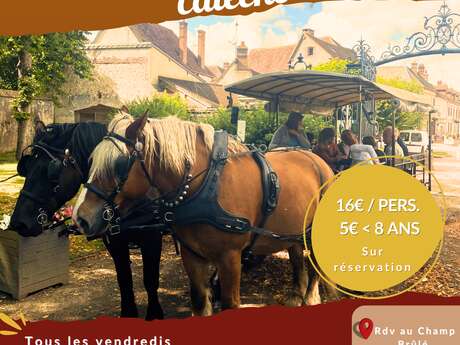 Balade en calèche commentée du Domaine de la Ferté-Vidame