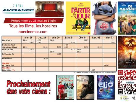 Programme cinéma du 28 mai au 3 juin