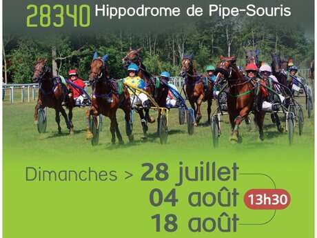 Courses au trot