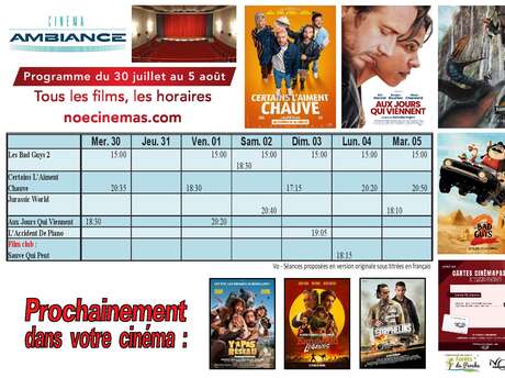 Programme cinéma  du 30 juillet  au 5 août