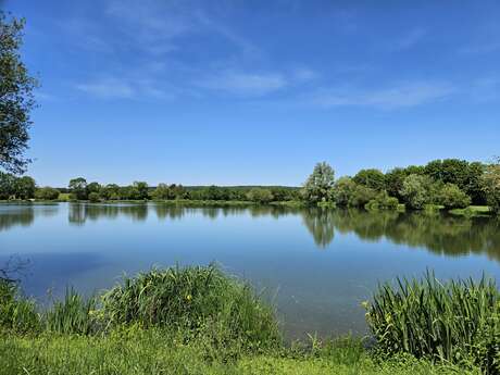 Plan d'eau Michel Hamet - Site de pêche labellisé Parcours famille