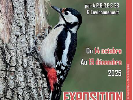 L'arbre et la biodiversité - Exposition