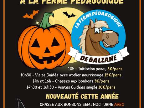 Halloween Halloween