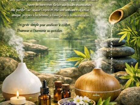 Découverte de la diffusion aromatique