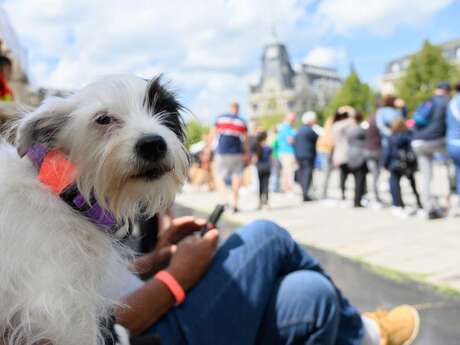 Journée de l'animal 2026 à Chartres