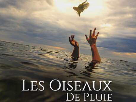 Cinéma - Les oiseaux de pluie