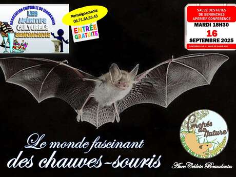 Apéritif-conférence "Le monde fascinant des chauves-souris"