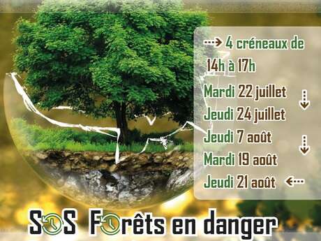 Escape Game - SOS forêts en danger Escape Game - SOS forêts en danger