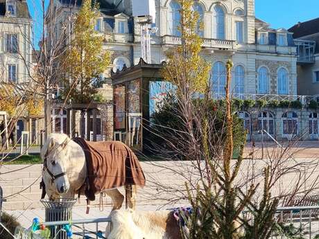 Marché de Noël I Nogent le Rotrou