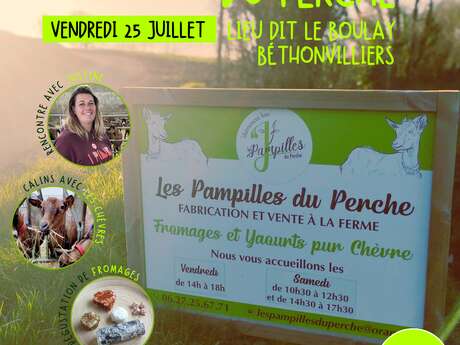 Visite de la chèvrerie Les Pampilles du Perche