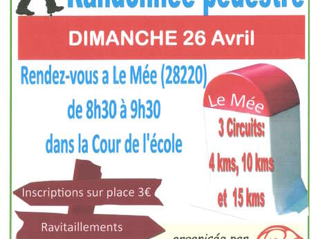 Randonnée pédestre