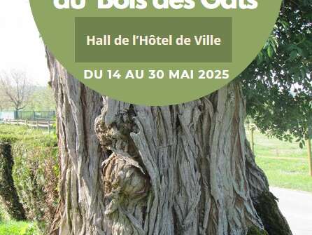 Exposition - Arbres remarqués du Bois des Gâts Exposition - Arbres remarqués du Bois des Gâts
