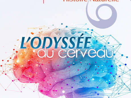 Nuit des Musées au Musée des Beaux-Arts et d'Histoire Naturelle