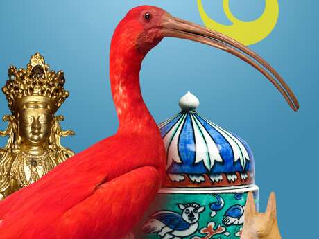 Visite commentée du Musée des Beaux-Arts et d'Histoire Naturelle