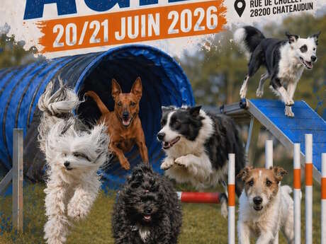 Concours d'Agility