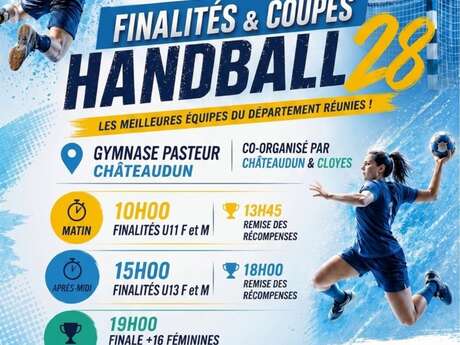 Finales départementales de handball