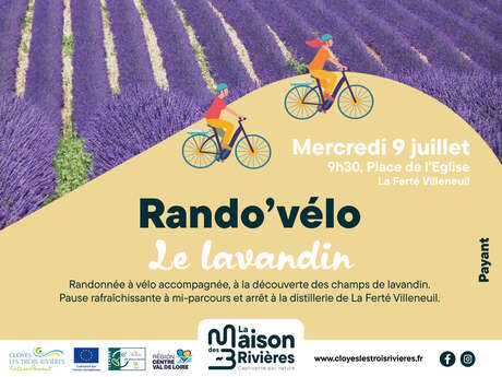 Rando'vélo - Le lavandin