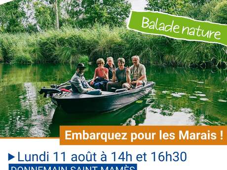 Balade nature en barque et sur terre dans les marais de la Conie