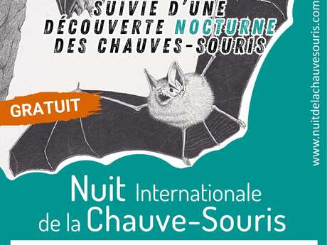 Conférence et découverte nocturne des chauve-souris