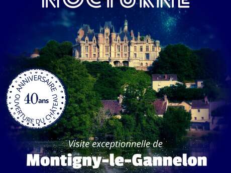 Visite nocturne de Montigny-le-Gannelon