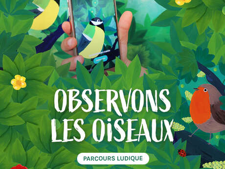 Exposition interactive - Observons les oiseaux