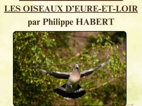 Exposition photographique - Les oiseaux d'Eure-et-Loir