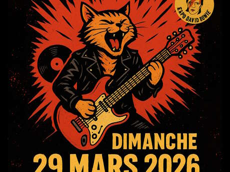 Salon du disque et de la BD