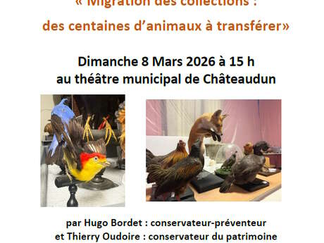 Conférence - Migration des collections : des centaines d'animaux à transférer