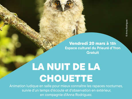 Nuit de la chouette