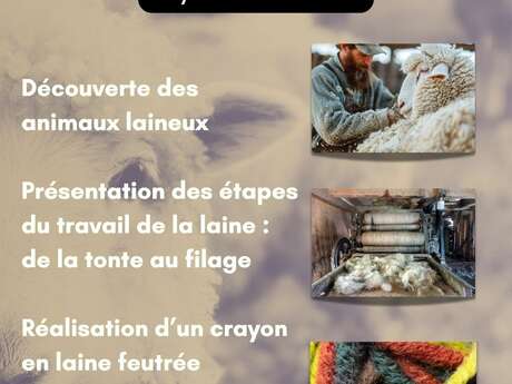 Atelier laine