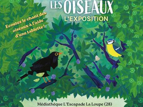Exposition Observons les oiseaux