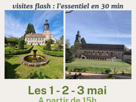Visites flash